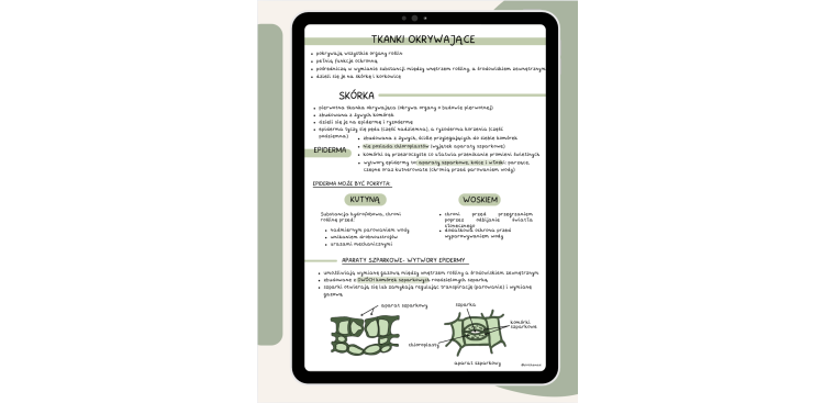 Tkanki roślinne + pytania powtórkowe 