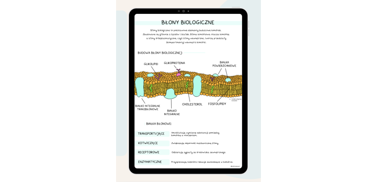 Notatki z biologii cz.I
