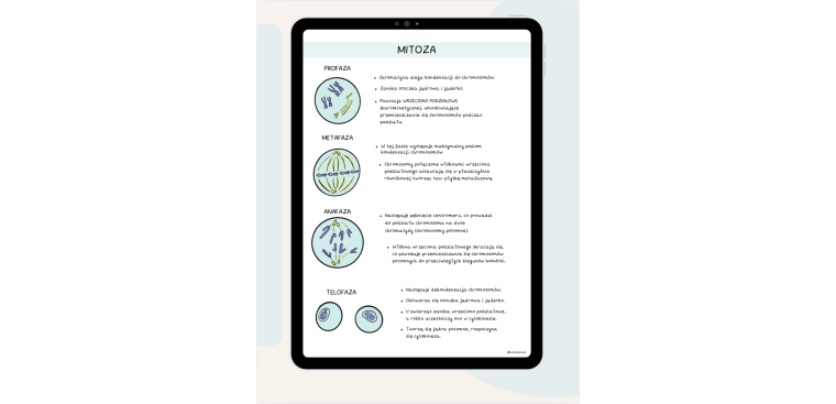 Notatki z biologii cz.I