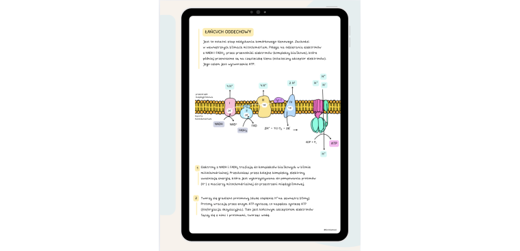 Notatki z biologii cz.I