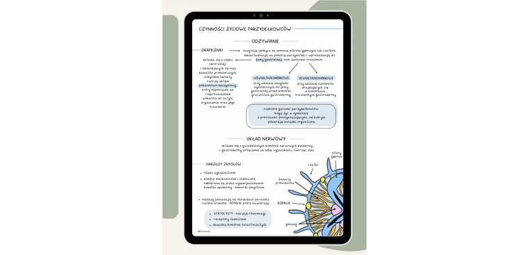 Notatki z biologii cz.II 