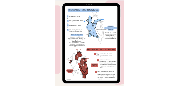 Notatki z biologii cz.III