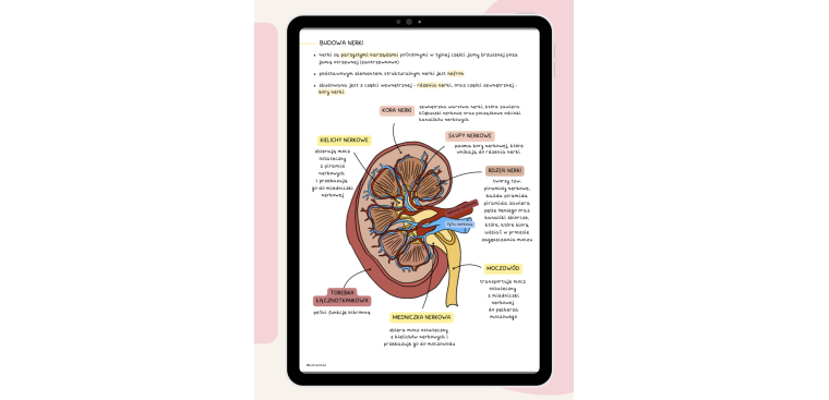 Notatki z biologii cz.III