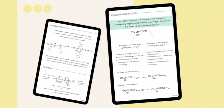 Zestaw Notatek Do Matury Z Chemii + GRATIS